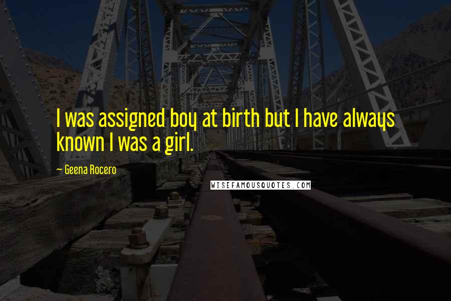 Geena Rocero Quotes: I was assigned boy at birth but I have always known I was a girl.