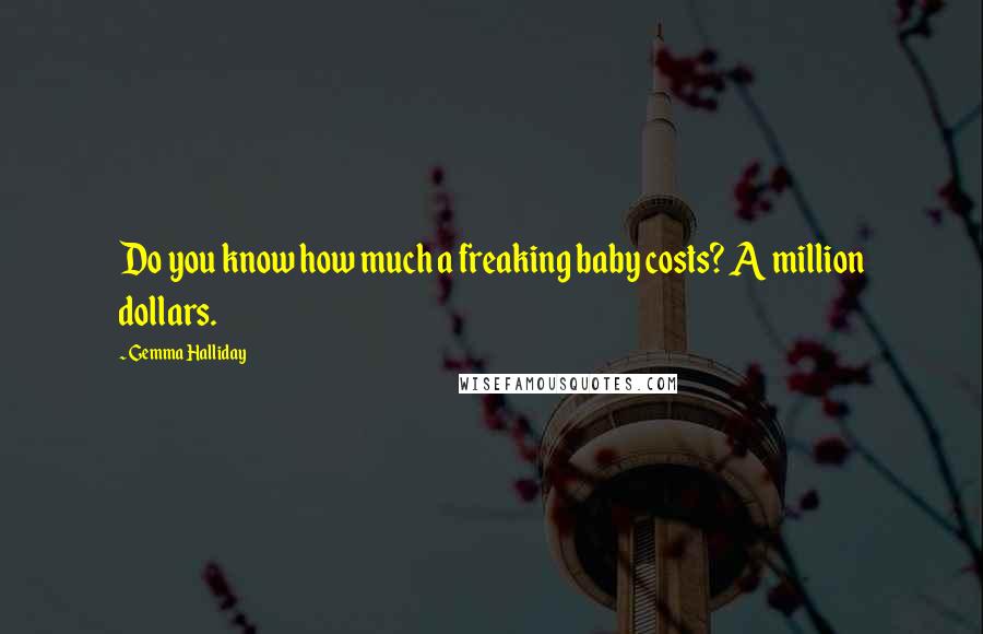 Gemma Halliday Quotes: Do you know how much a freaking baby costs? A million dollars.