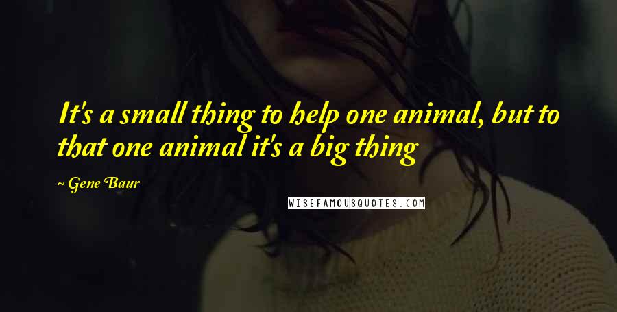 Gene Baur Quotes: It's a small thing to help one animal, but to that one animal it's a big thing