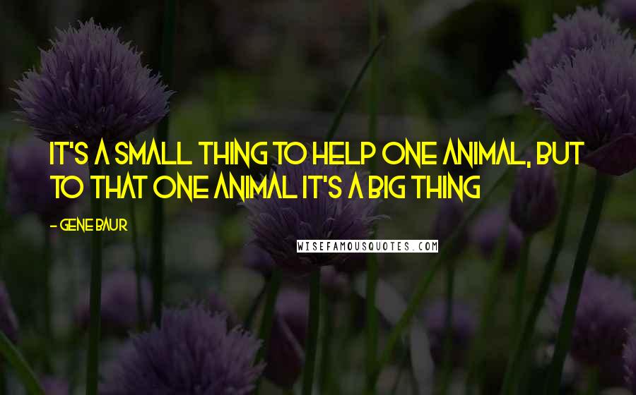 Gene Baur Quotes: It's a small thing to help one animal, but to that one animal it's a big thing