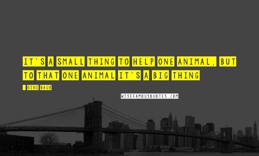 Gene Baur Quotes: It's a small thing to help one animal, but to that one animal it's a big thing