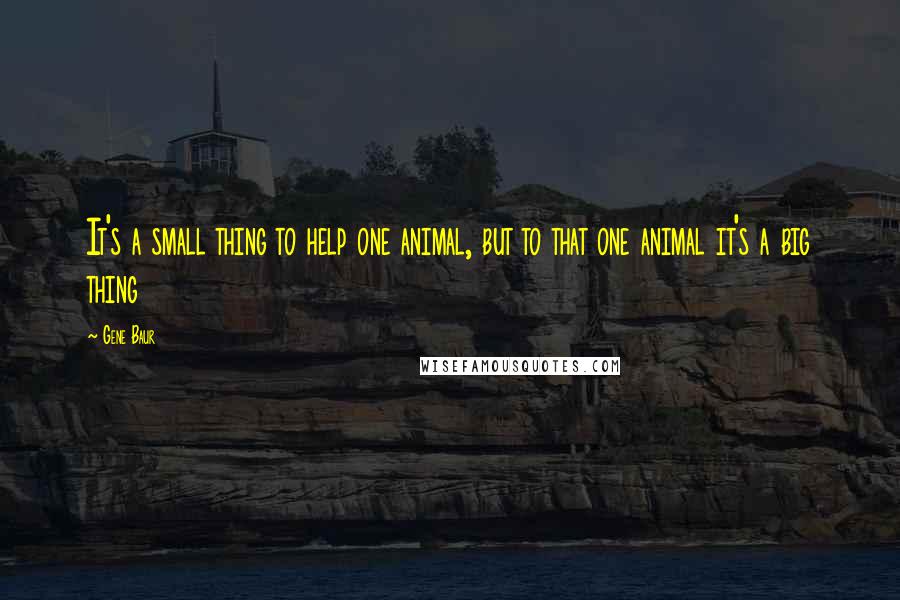 Gene Baur Quotes: It's a small thing to help one animal, but to that one animal it's a big thing