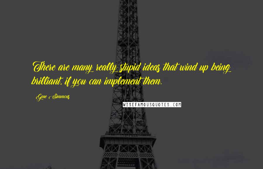 Gene Simmons Quotes: There are many really stupid ideas that wind up being brilliant, if you can implement them.
