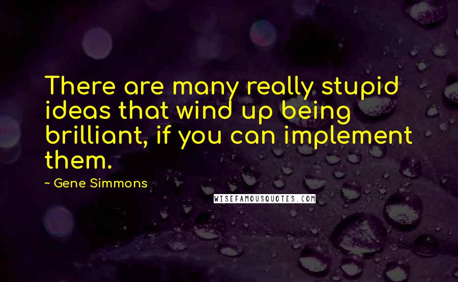 Gene Simmons Quotes: There are many really stupid ideas that wind up being brilliant, if you can implement them.