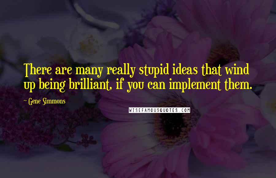Gene Simmons Quotes: There are many really stupid ideas that wind up being brilliant, if you can implement them.