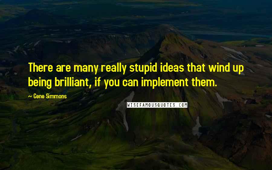 Gene Simmons Quotes: There are many really stupid ideas that wind up being brilliant, if you can implement them.