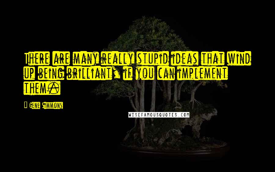 Gene Simmons Quotes: There are many really stupid ideas that wind up being brilliant, if you can implement them.