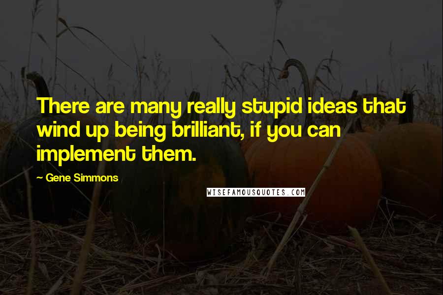 Gene Simmons Quotes: There are many really stupid ideas that wind up being brilliant, if you can implement them.