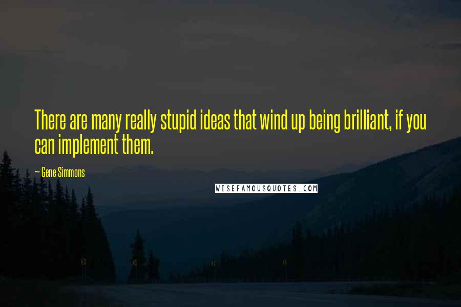 Gene Simmons Quotes: There are many really stupid ideas that wind up being brilliant, if you can implement them.