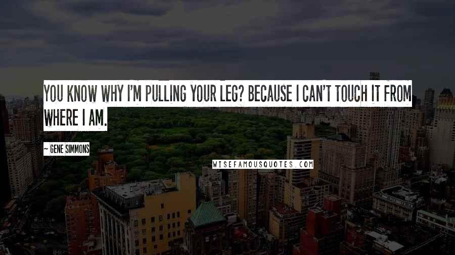 Gene Simmons Quotes: You know why I'm pulling your leg? Because I can't touch it from where I am.