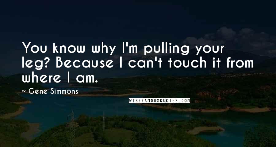 Gene Simmons Quotes: You know why I'm pulling your leg? Because I can't touch it from where I am.