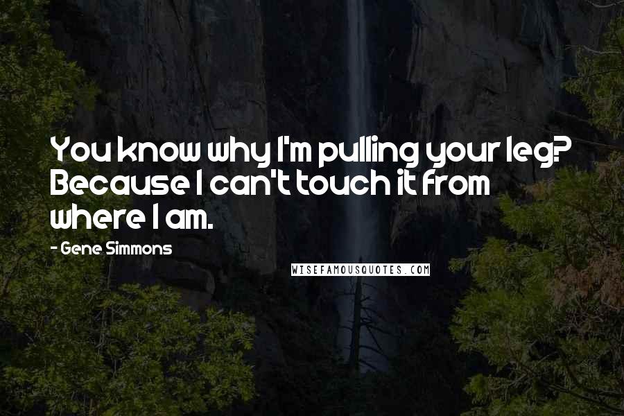 Gene Simmons Quotes: You know why I'm pulling your leg? Because I can't touch it from where I am.