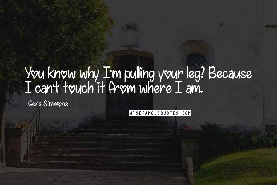 Gene Simmons Quotes: You know why I'm pulling your leg? Because I can't touch it from where I am.