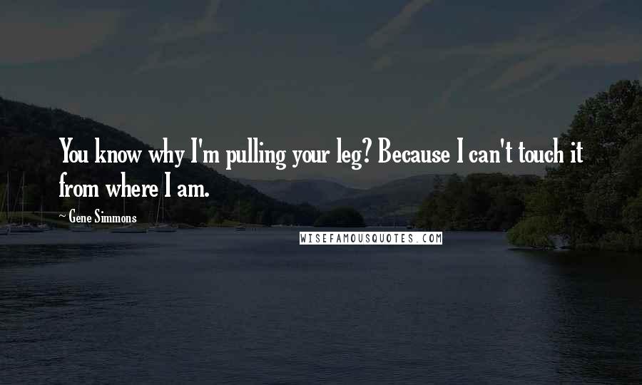 Gene Simmons Quotes: You know why I'm pulling your leg? Because I can't touch it from where I am.