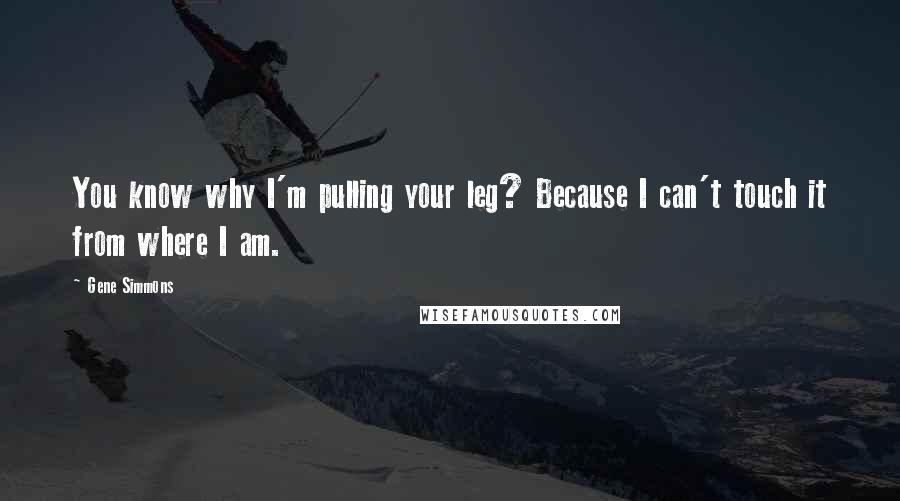 Gene Simmons Quotes: You know why I'm pulling your leg? Because I can't touch it from where I am.