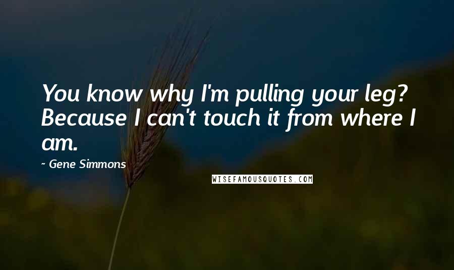 Gene Simmons Quotes: You know why I'm pulling your leg? Because I can't touch it from where I am.