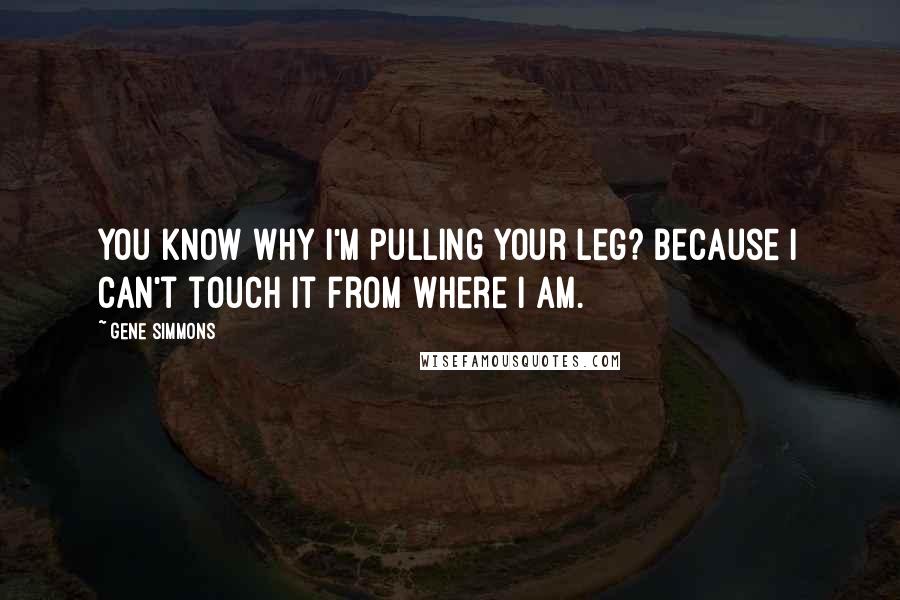 Gene Simmons Quotes: You know why I'm pulling your leg? Because I can't touch it from where I am.