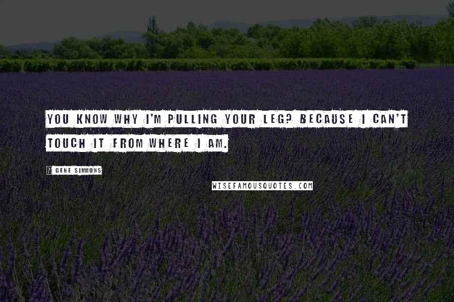 Gene Simmons Quotes: You know why I'm pulling your leg? Because I can't touch it from where I am.