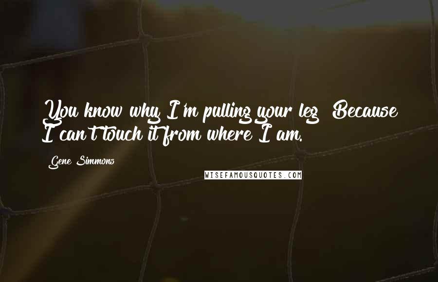 Gene Simmons Quotes: You know why I'm pulling your leg? Because I can't touch it from where I am.