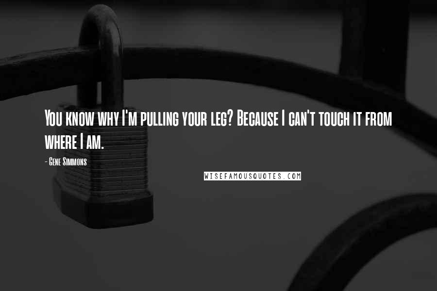 Gene Simmons Quotes: You know why I'm pulling your leg? Because I can't touch it from where I am.
