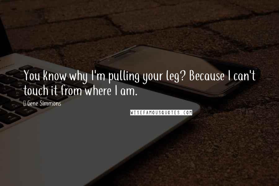 Gene Simmons Quotes: You know why I'm pulling your leg? Because I can't touch it from where I am.