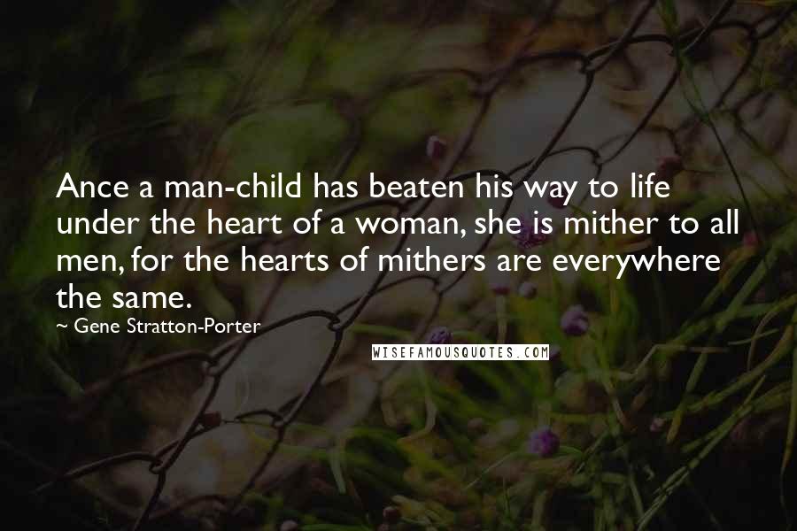 Gene Stratton-Porter Quotes: Ance a man-child has beaten his way to life under the heart of a woman, she is mither to all men, for the hearts of mithers are everywhere the same.
