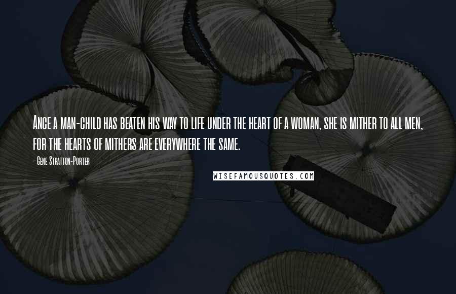 Gene Stratton-Porter Quotes: Ance a man-child has beaten his way to life under the heart of a woman, she is mither to all men, for the hearts of mithers are everywhere the same.