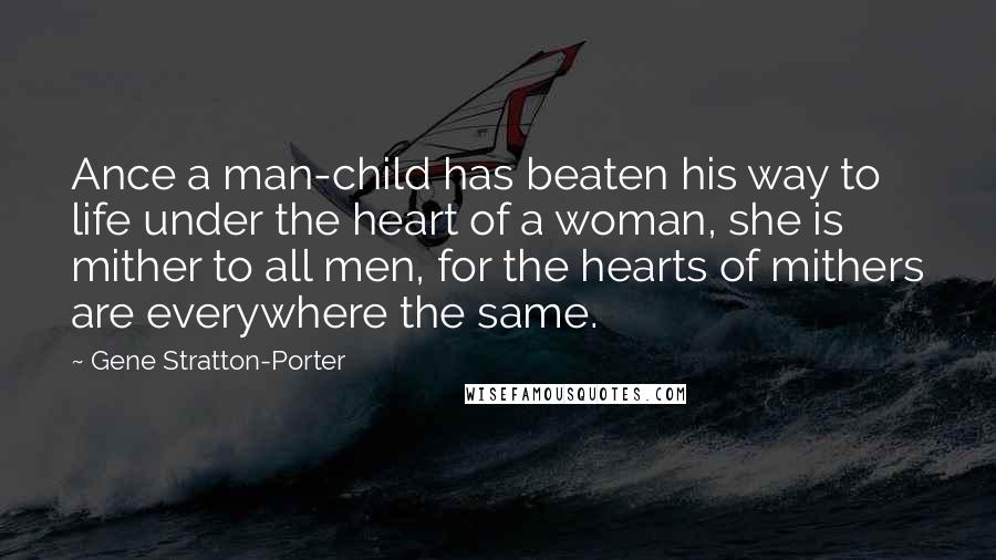 Gene Stratton-Porter Quotes: Ance a man-child has beaten his way to life under the heart of a woman, she is mither to all men, for the hearts of mithers are everywhere the same.