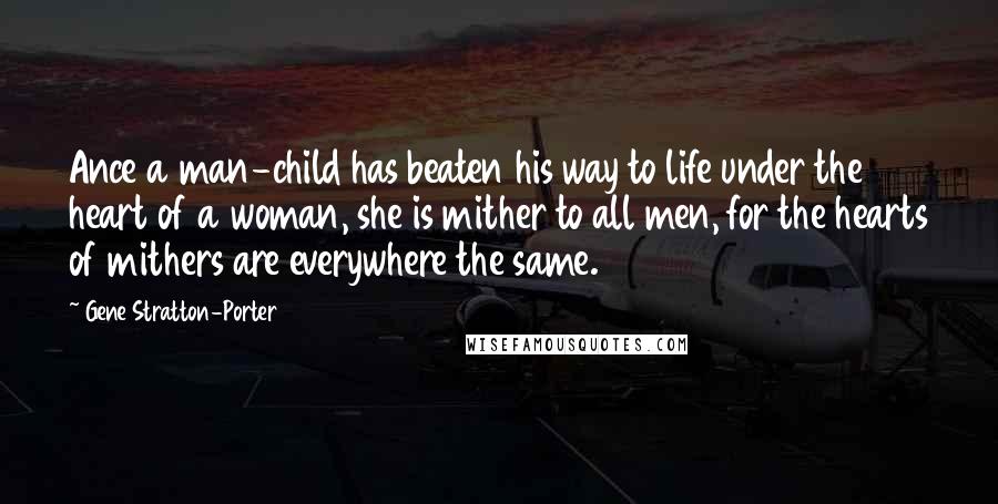 Gene Stratton-Porter Quotes: Ance a man-child has beaten his way to life under the heart of a woman, she is mither to all men, for the hearts of mithers are everywhere the same.