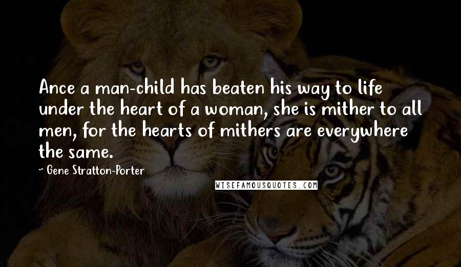 Gene Stratton-Porter Quotes: Ance a man-child has beaten his way to life under the heart of a woman, she is mither to all men, for the hearts of mithers are everywhere the same.