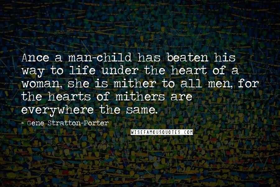 Gene Stratton-Porter Quotes: Ance a man-child has beaten his way to life under the heart of a woman, she is mither to all men, for the hearts of mithers are everywhere the same.