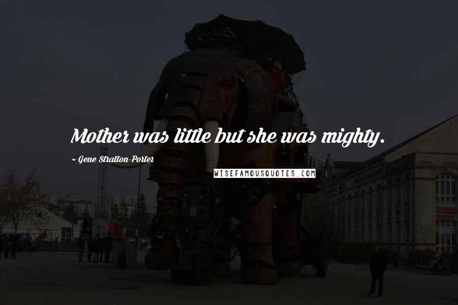 Gene Stratton-Porter Quotes: Mother was little but she was mighty.