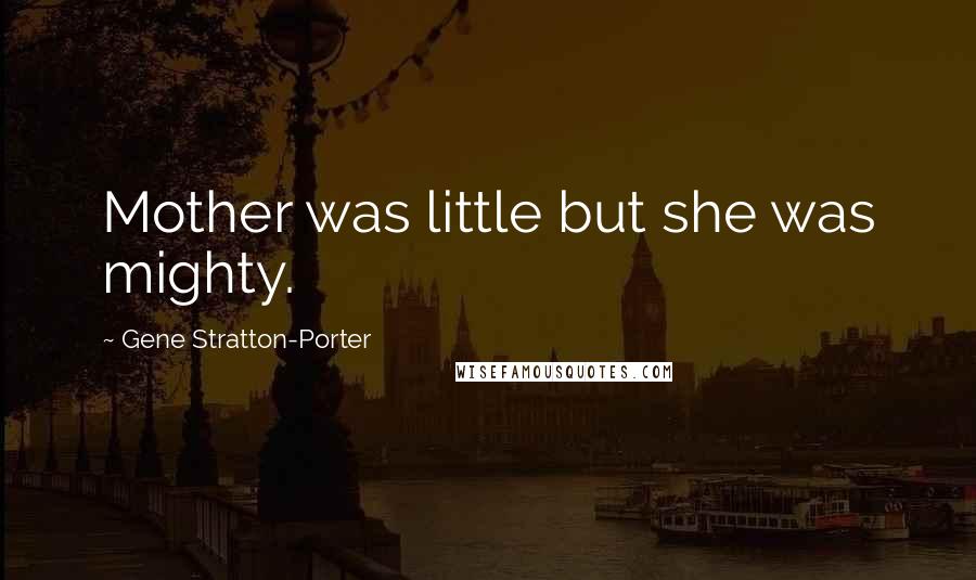 Gene Stratton-Porter Quotes: Mother was little but she was mighty.