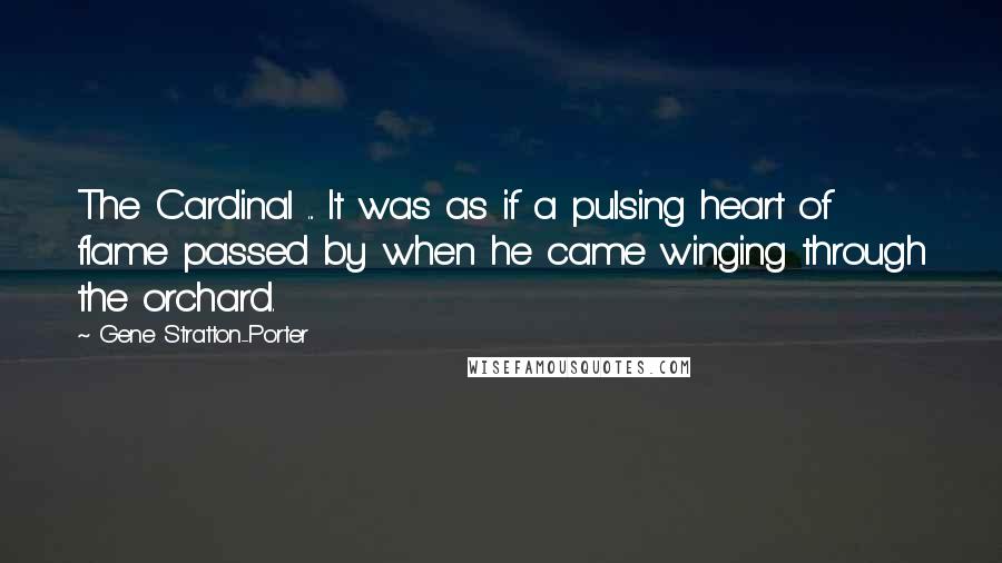 Gene Stratton-Porter Quotes: The Cardinal ... It was as if a pulsing heart of flame passed by when he came winging through the orchard.