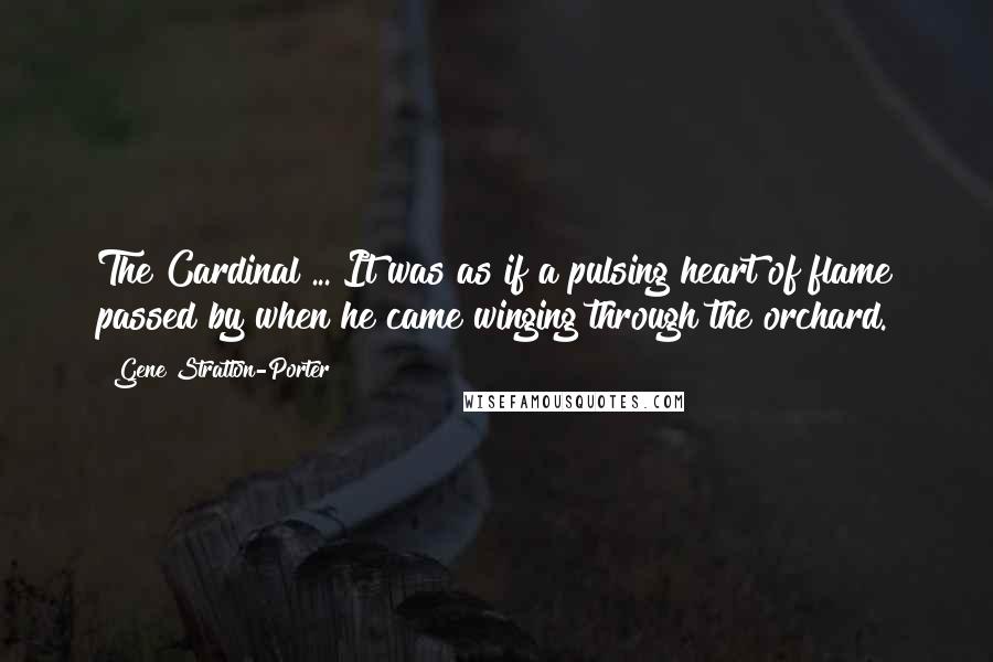 Gene Stratton-Porter Quotes: The Cardinal ... It was as if a pulsing heart of flame passed by when he came winging through the orchard.