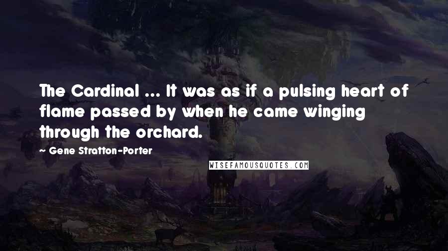 Gene Stratton-Porter Quotes: The Cardinal ... It was as if a pulsing heart of flame passed by when he came winging through the orchard.