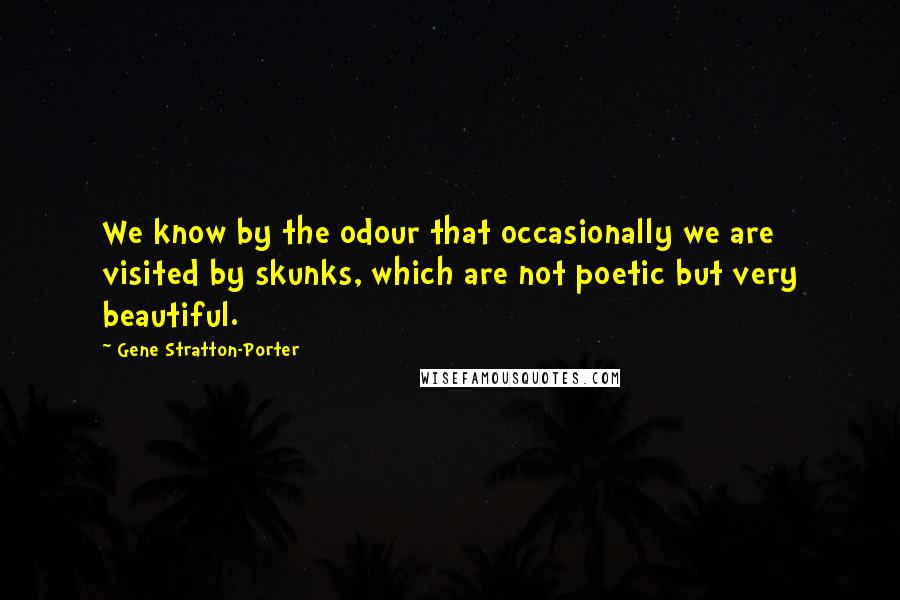 Gene Stratton-Porter Quotes: We know by the odour that occasionally we are visited by skunks, which are not poetic but very beautiful.