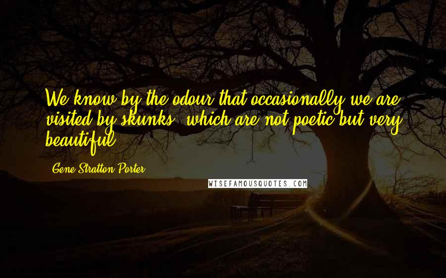 Gene Stratton-Porter Quotes: We know by the odour that occasionally we are visited by skunks, which are not poetic but very beautiful.