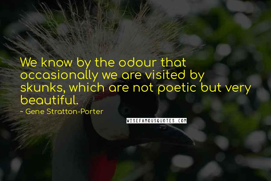 Gene Stratton-Porter Quotes: We know by the odour that occasionally we are visited by skunks, which are not poetic but very beautiful.