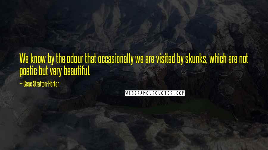 Gene Stratton-Porter Quotes: We know by the odour that occasionally we are visited by skunks, which are not poetic but very beautiful.