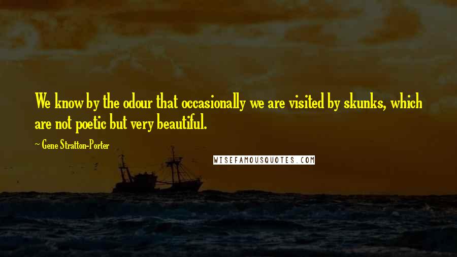 Gene Stratton-Porter Quotes: We know by the odour that occasionally we are visited by skunks, which are not poetic but very beautiful.
