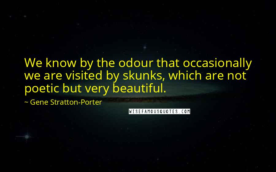 Gene Stratton-Porter Quotes: We know by the odour that occasionally we are visited by skunks, which are not poetic but very beautiful.