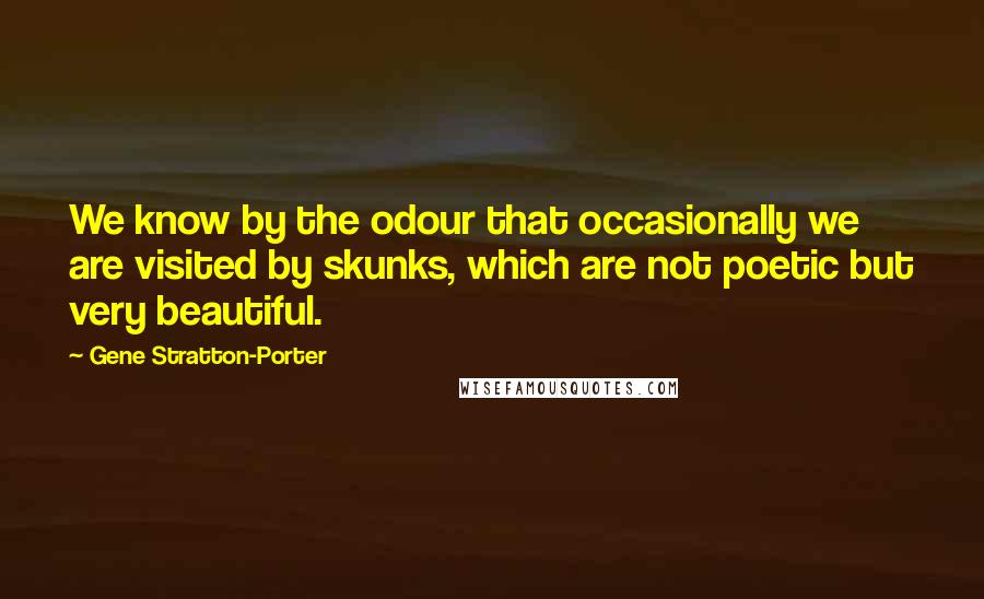 Gene Stratton-Porter Quotes: We know by the odour that occasionally we are visited by skunks, which are not poetic but very beautiful.