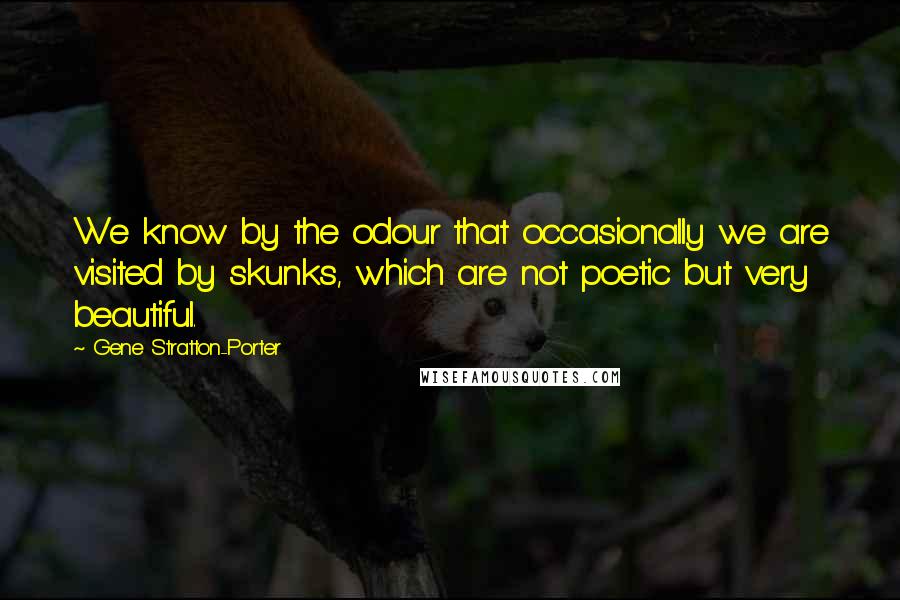 Gene Stratton-Porter Quotes: We know by the odour that occasionally we are visited by skunks, which are not poetic but very beautiful.