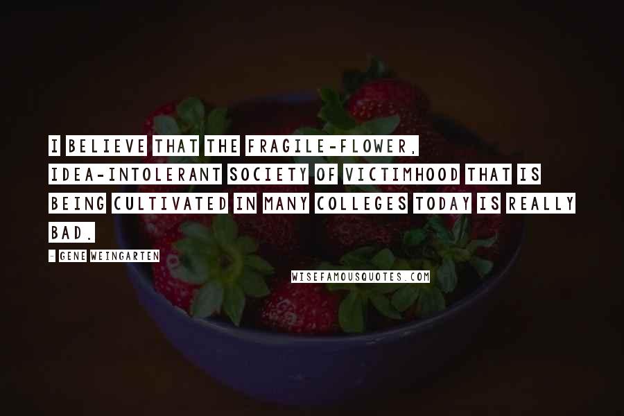 Gene Weingarten Quotes: I believe that the fragile-flower, idea-intolerant society of victimhood that is being cultivated in many colleges today is really bad.