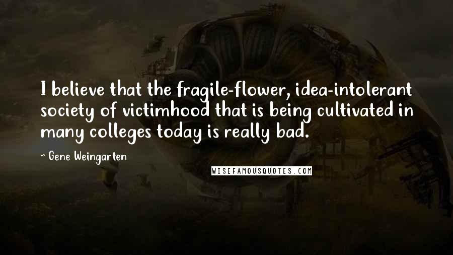 Gene Weingarten Quotes: I believe that the fragile-flower, idea-intolerant society of victimhood that is being cultivated in many colleges today is really bad.