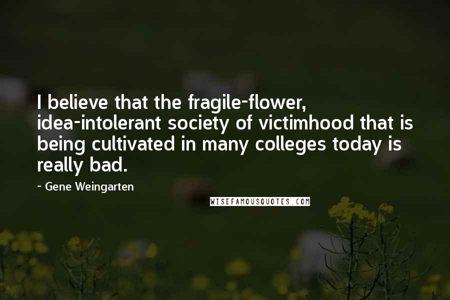 Gene Weingarten Quotes: I believe that the fragile-flower, idea-intolerant society of victimhood that is being cultivated in many colleges today is really bad.