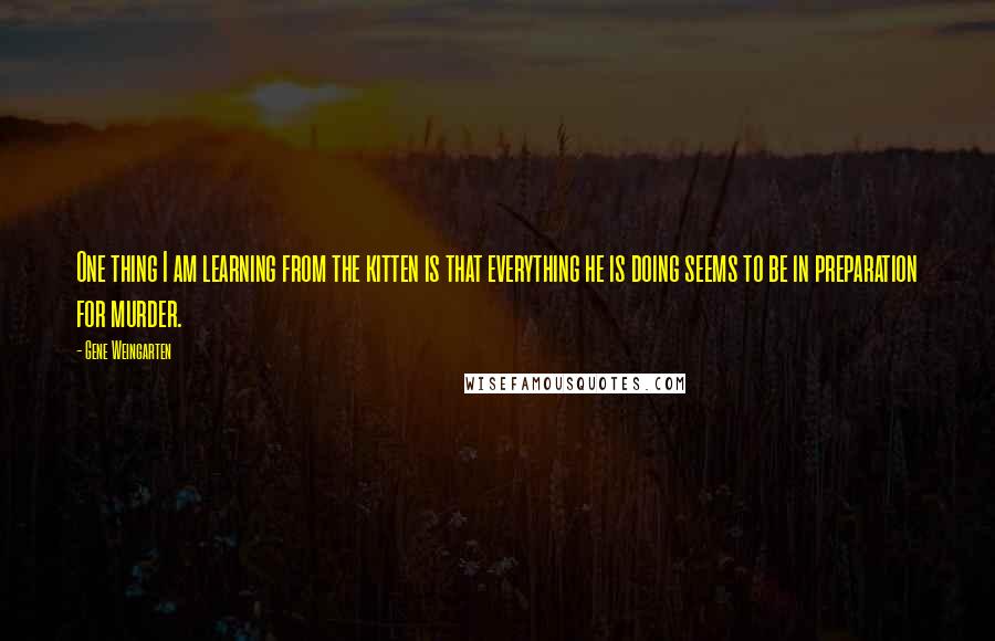 Gene Weingarten Quotes: One thing I am learning from the kitten is that everything he is doing seems to be in preparation for murder.