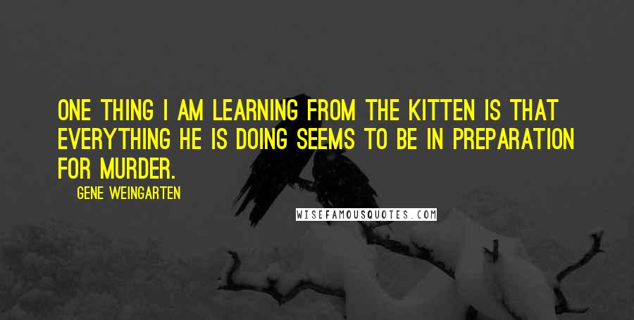 Gene Weingarten Quotes: One thing I am learning from the kitten is that everything he is doing seems to be in preparation for murder.