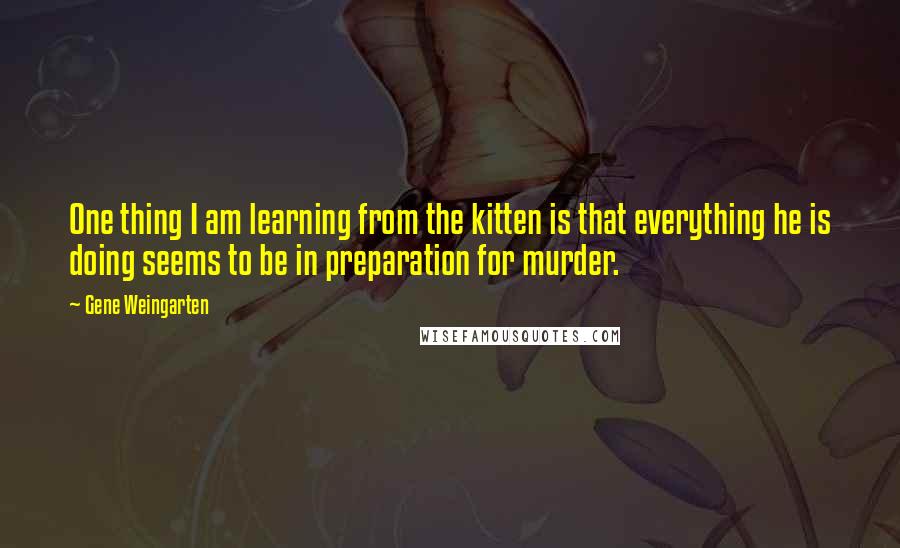 Gene Weingarten Quotes: One thing I am learning from the kitten is that everything he is doing seems to be in preparation for murder.